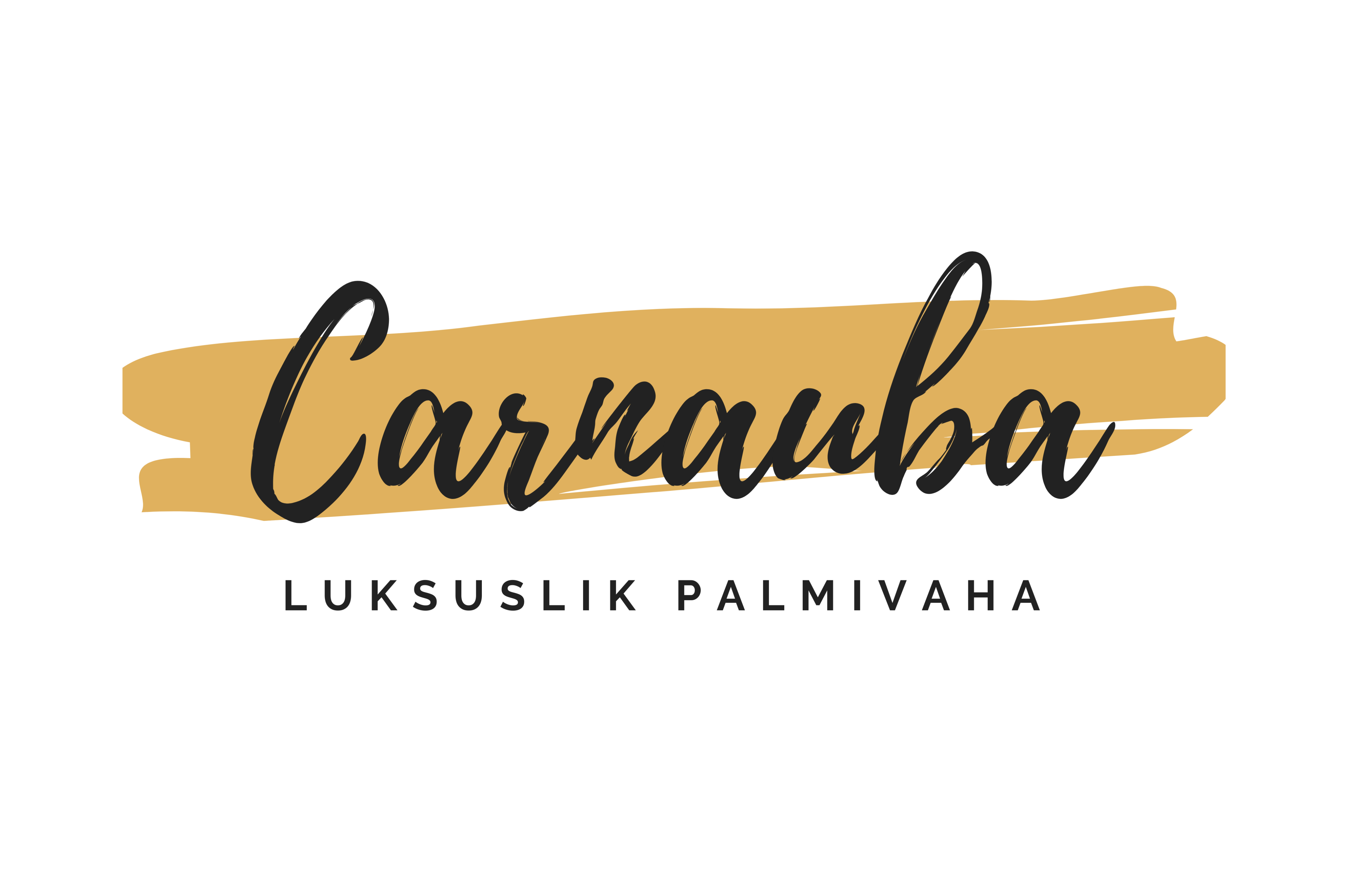 Carnauba palmivaha